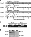 FIG 3