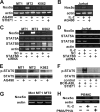 FIG 6