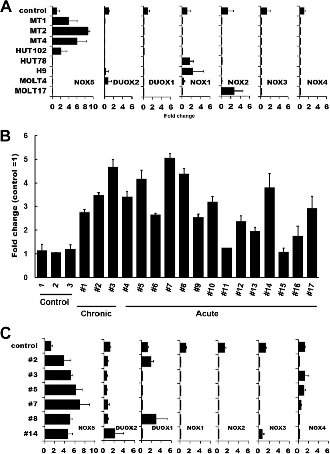 FIG 2