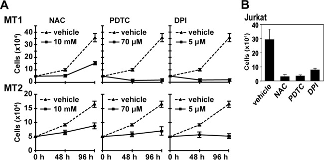 FIG 1