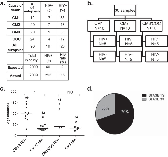 FIG 1 