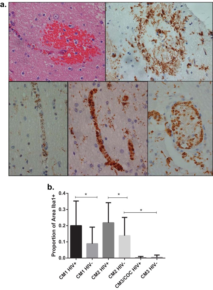 FIG 2 