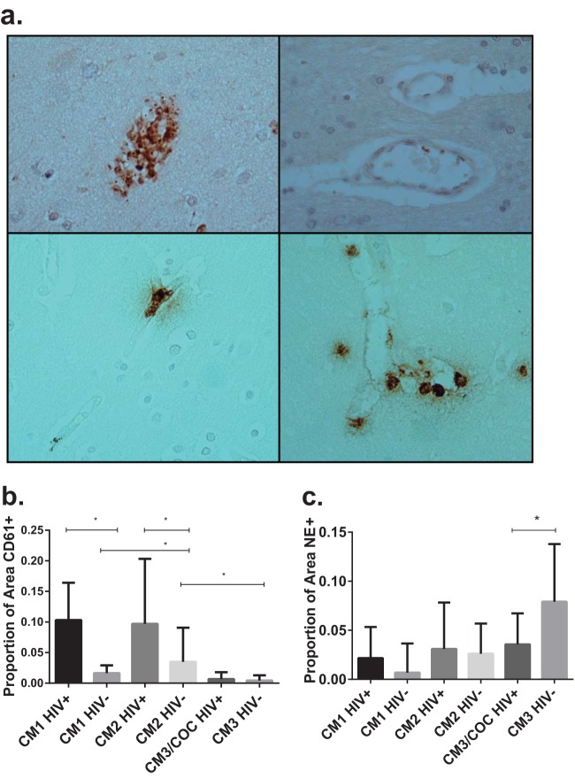 FIG 3 