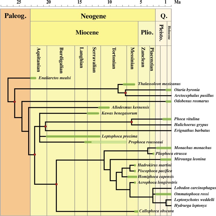 Figure 16