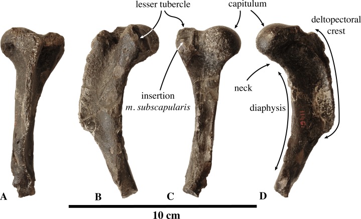 Figure 14