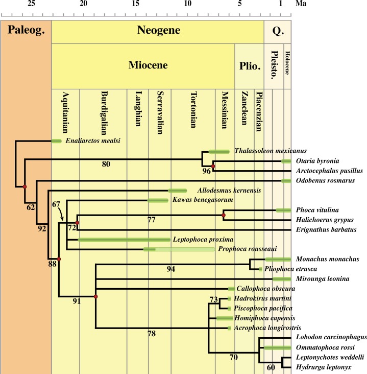 Figure 17