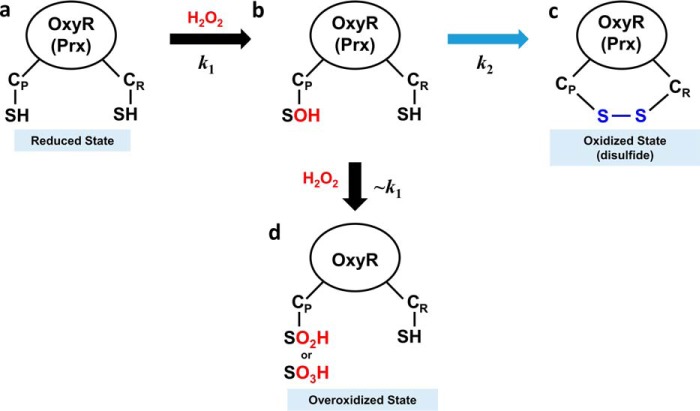 Figure 7.