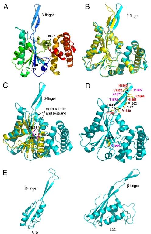 Fig. 2.