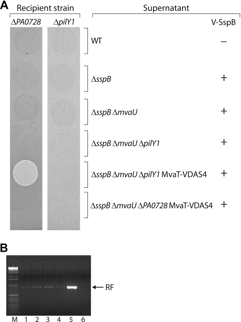 Fig 4