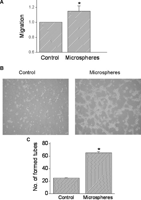 Fig 7