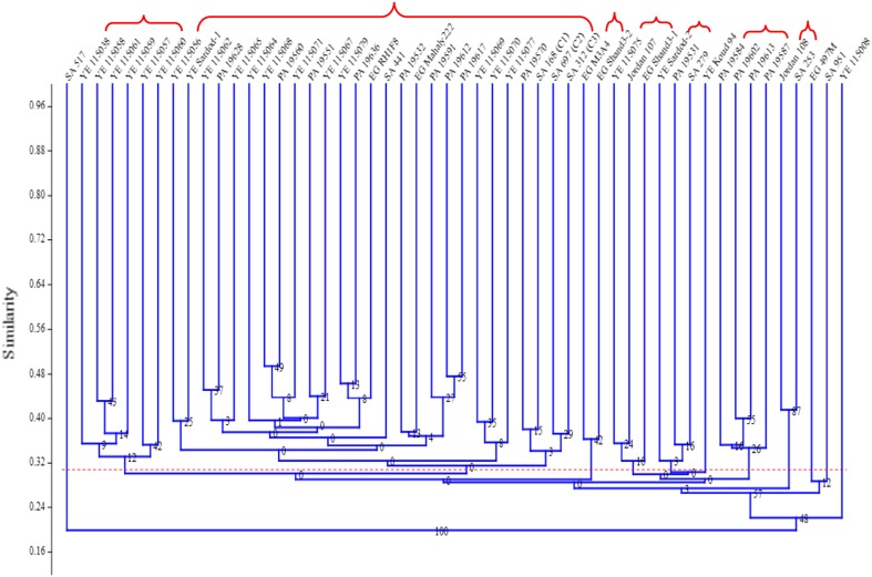 Fig. 1