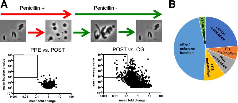 FIG 5