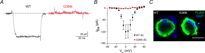 Figure 1—figure supplement 1.