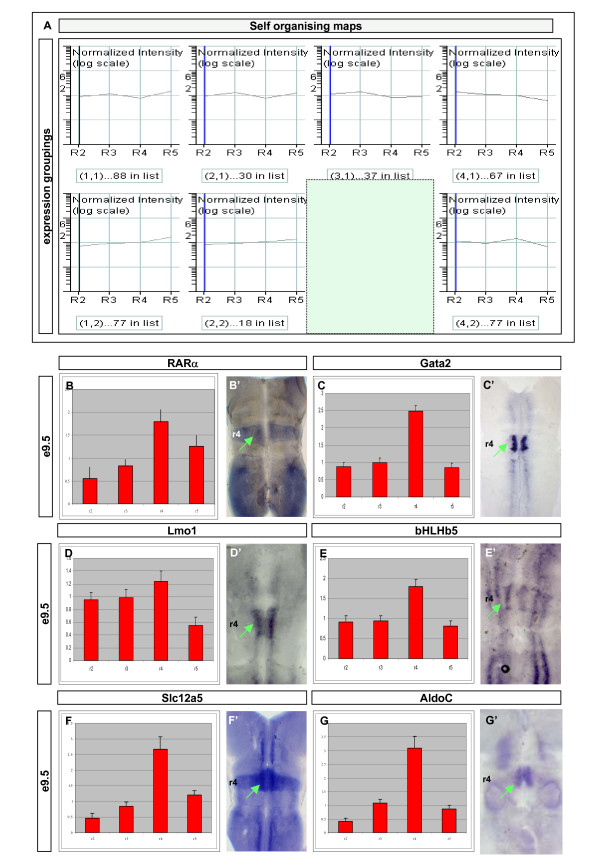 Figure 5