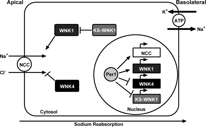 FIGURE 15.