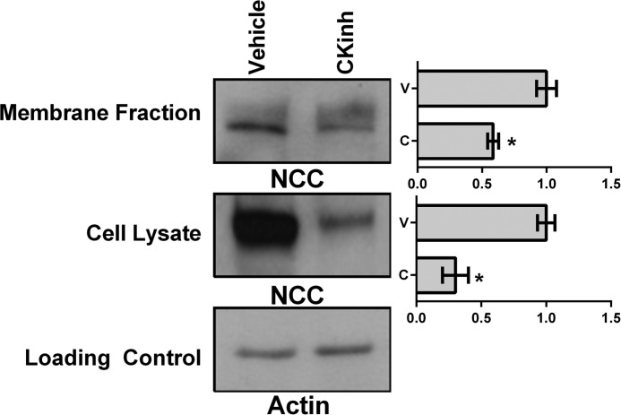 FIGURE 13.