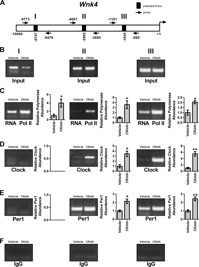 FIGURE 10.