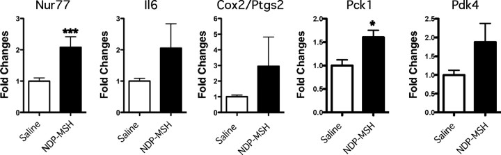 Fig. 9.