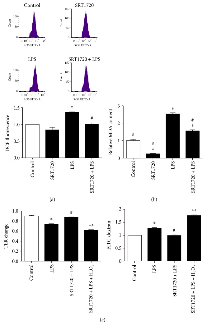 Figure 6