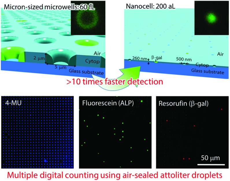 graphic file with name c8an01152d-ga.jpg