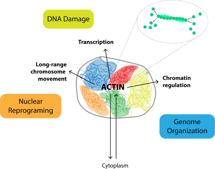 FIGURE 1: