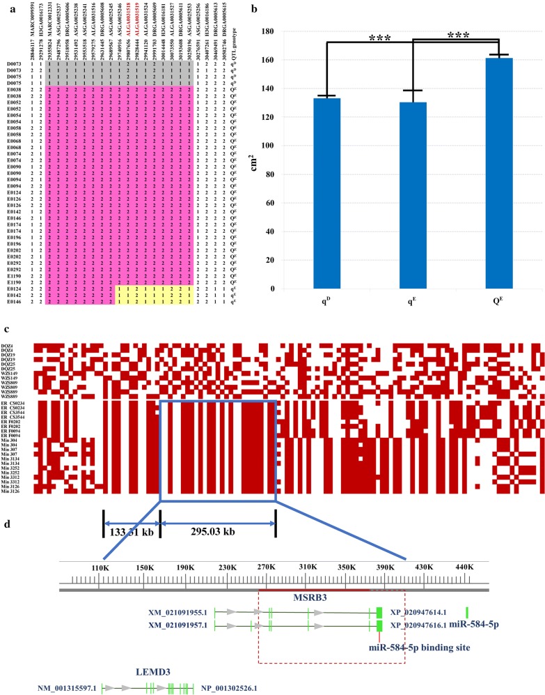 Fig. 3