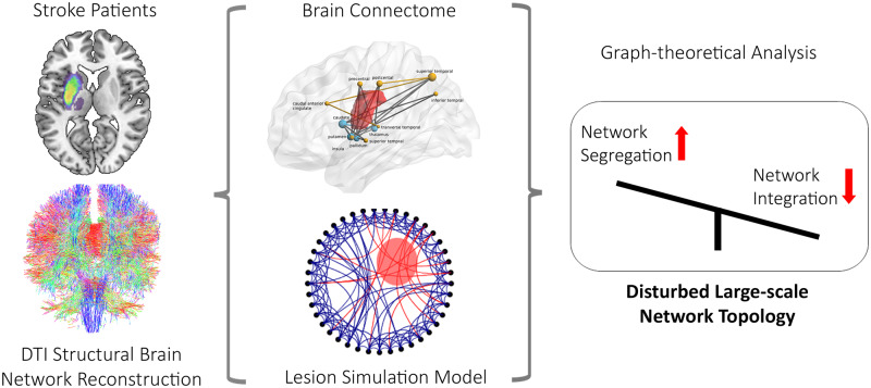 Graphical Abstract