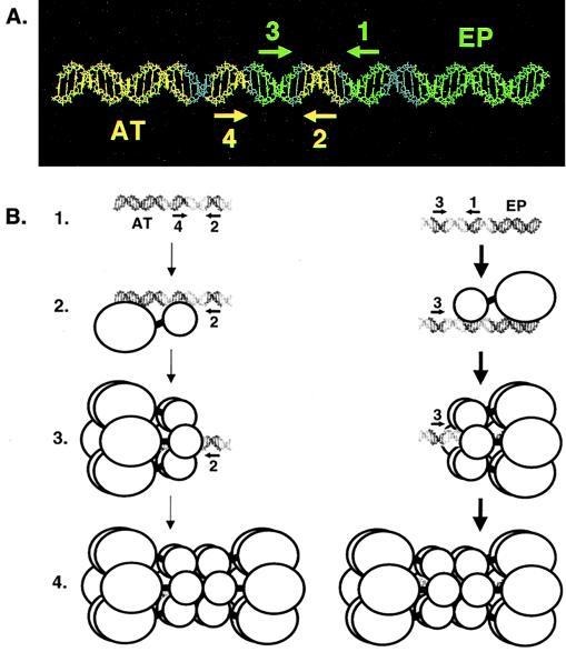 FIG. 8