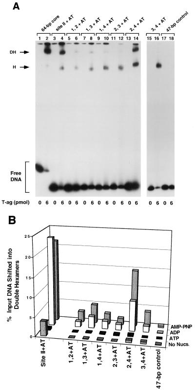 FIG. 5