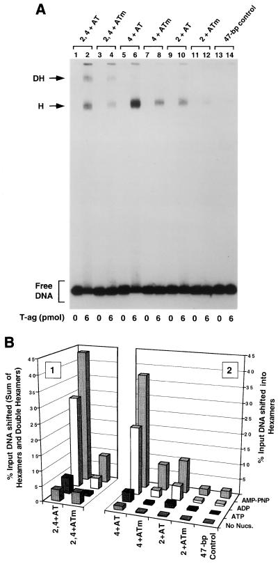 FIG. 6