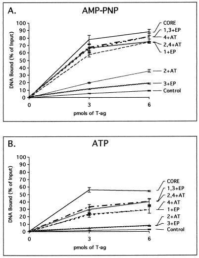 FIG. 7