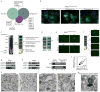 Extended Data Figure 1