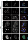 Extended Data Figure 3