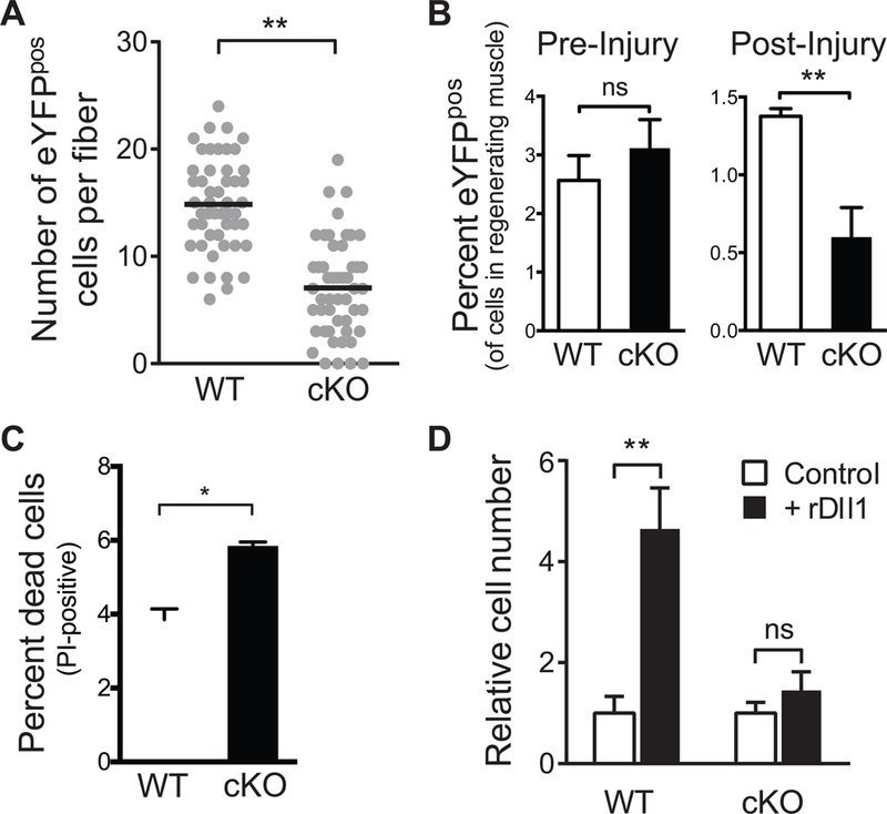 Figure 6: