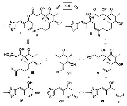 Scheme 1