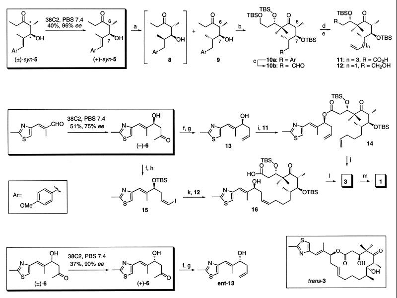 Scheme 2