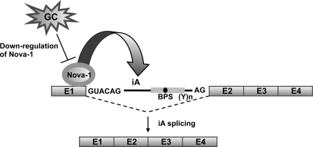 FIGURE 11.