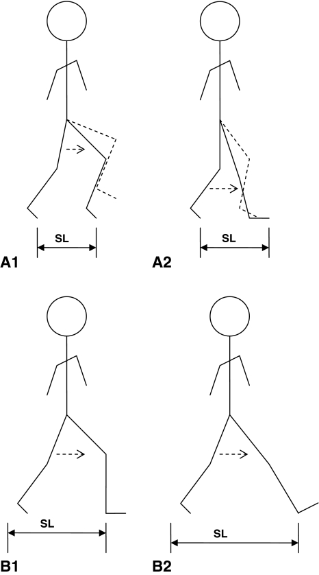 Fig. 3A–B