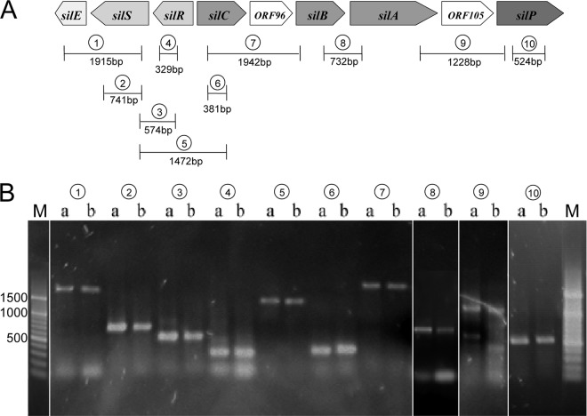 Fig 2