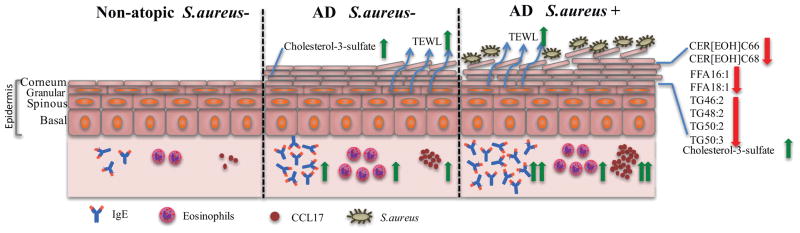 FIG 1