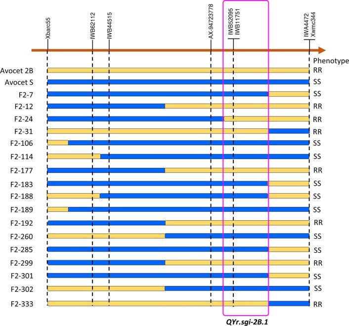 Extended Data Fig. 6