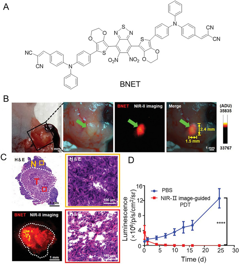 Fig. 12