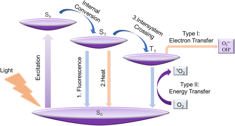 Fig. 1