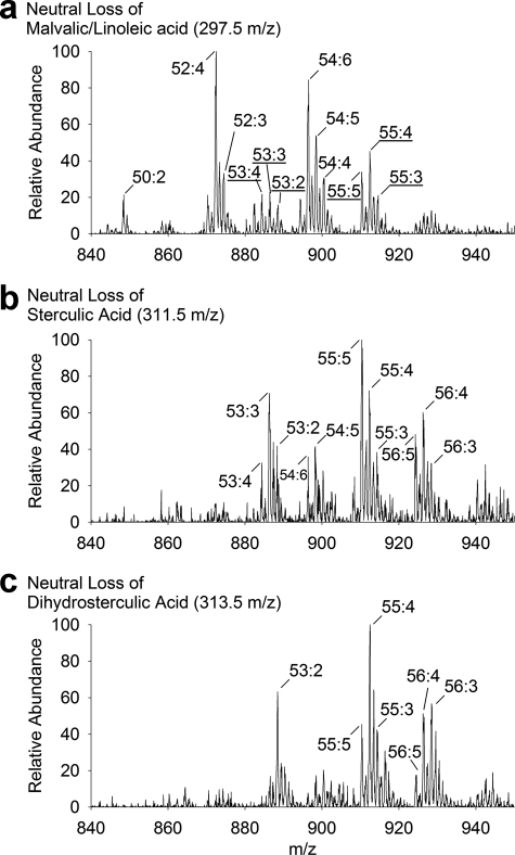 FIGURE 7.