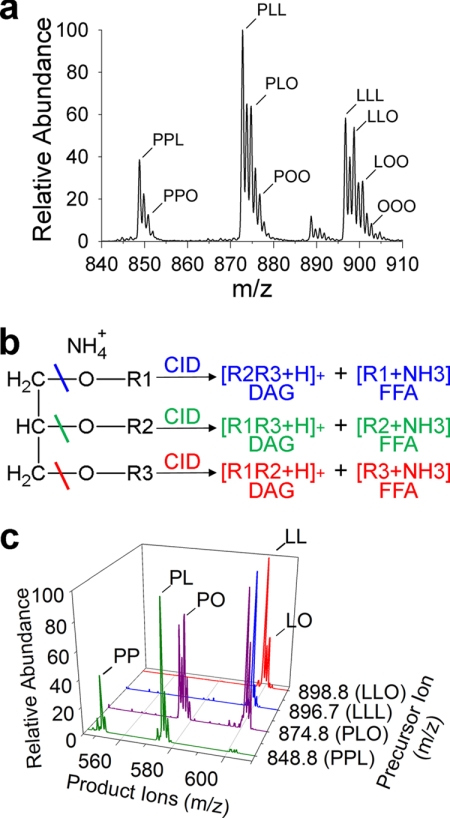 FIGURE 2.