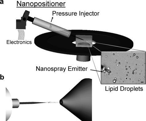 FIGURE 1.