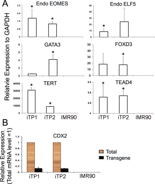 Fig2