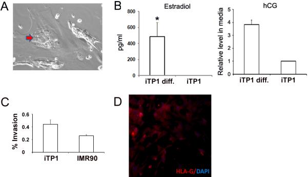 Fig4