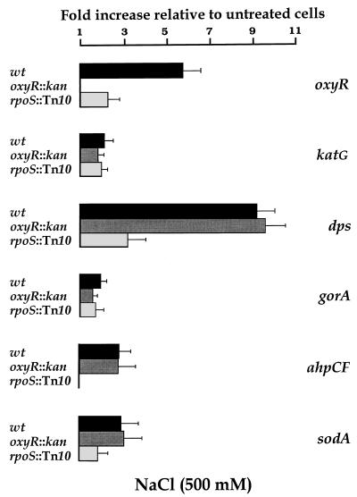 FIG. 5