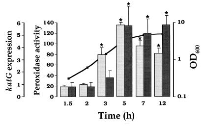 FIG. 1